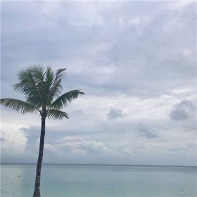 太阳集团娱乐官方网站下载截图